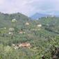 env02.JPG