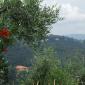 env06.jpg